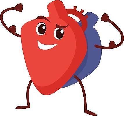 EPS 해외이미지 무료이미지 캐릭터 일러스트 근육 건강 사람없음 심장 해외202310 해외일러스트 일러캐릭터 장기_의학 파일형식 벡터 무료콘텐츠