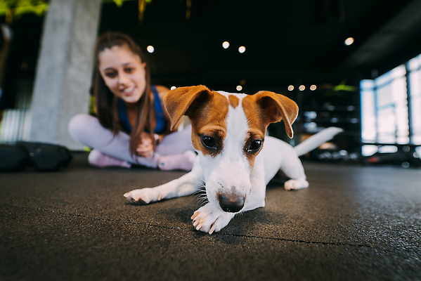 포토 JPG 해외이미지 백인 라이프스타일 여자 행복 스포츠 신체 장난 요가 휴식 함께함 실내 건강 사랑 한명 미소 소녀 취미 빨간색 친구 반려동물 운동 뷰티 우정 매트 개 날씬함 명상 체육관 근육질 체조 해외202310 해외포토 서양인 동물 1 웰빙 감정 어린이 컬러 컨셉 포유류 관계 근육 표정 사람 내부 생활 몸매 파일형식