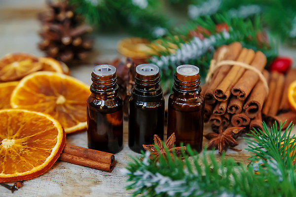 포토 JPG 해외이미지 꽃 잎 오렌지 유리병 사람없음 솔방울 솔잎 건과일 시나몬 팔각회향 해외202310 해외포토 식물 과일 병_용기 건조 향신료 파일형식