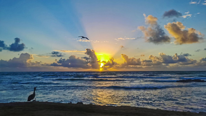 포토 JPG 해외이미지 모래 파도 바다 컬러 여행 백그라운드 오렌지 자연 하늘 아침 멕시코 파노라마 풍경 사람없음 야외 빨간색 물 여름 빛 컬러풀 햇빛 태양 뷰티 반사 노란색 일출 맑음 일몰 만 황금 저녁 내추럴 파라다이스 수평선 해외202310 해외포토 주간 자연요소 계절 북아메리카 과일 날씨 촬영기법 노을 야간 생태계 파일형식