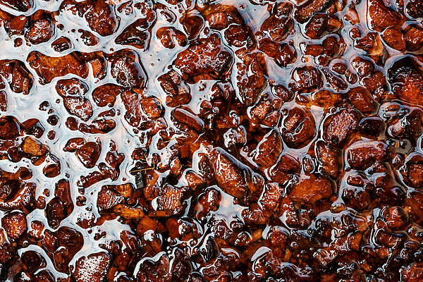 포토 JPG 해외이미지 조각 농업 자연 표면 사람없음 야외 물 갈색 젖음 촉촉함 껍질 거친 닫기 자르기 천 묘사 유기농 원예 질감 코코넛 섬유 거름 개조 해외202310 해외포토 자연요소 웰빙 산업 컬러 과일 모션 취미 직물 생태계 파일형식