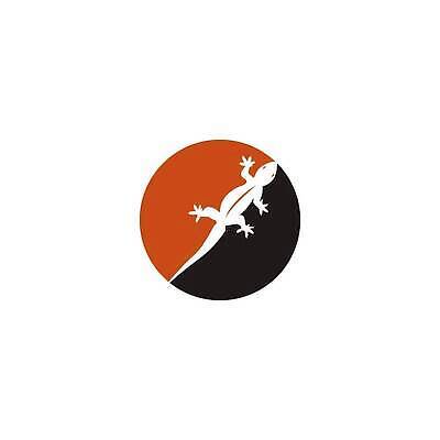 EPS 해외이미지 모양 동물 디자인 실루엣 야생동물 벽 백그라운드 컨셉 신체 일러스트 파충류 자연 추상 미술 그래픽 초록색 픽토그램 갈색 정원 검은색 흰색 작음 만화 문신 심볼 피부 꼬리 도마뱀 이구아나 브라질 원시시대 부족 기어가기 고립 동물상 이국적 벡터 해외202310 해외일러스트 컬러 무늬 모션 문화예술 촬영기법 신체부위 조형물 남아메리카 역사 크기 생태계 파일형식 아메리카 사람 대륙