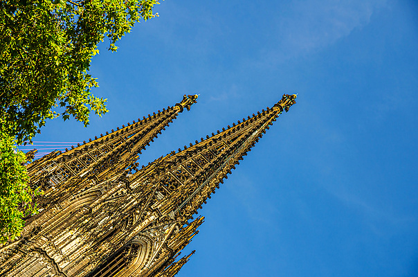 포토 JPG 해외이미지 나무 외관 유럽 기독교 종교 문화 여행 잎 2 건축양식 하늘 왕관 독일 사람없음 건물 초록색 도시풍경 성당 교회 탑 천주교 도시 센터 중세 역사 재산 성자 북쪽 첨탑 고딕 랜드마크 로마인 옛날 쾰른 스타일 해외202310 해외포토 식물 건축물 건축 나라 컬러 종교건축 인종 풍경 금융 방향 파일형식