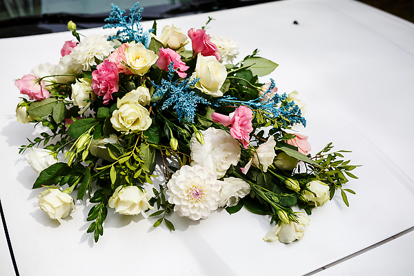 포토 JPG 해외이미지 부케 사람없음 해외202310 해외포토 꽃다발 파일형식