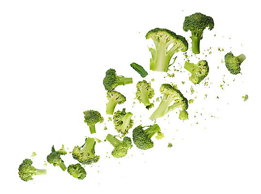 포토 JPG 해외이미지 단면 사람없음 신선 브로콜리 해외202310 해외포토 채소 파일형식