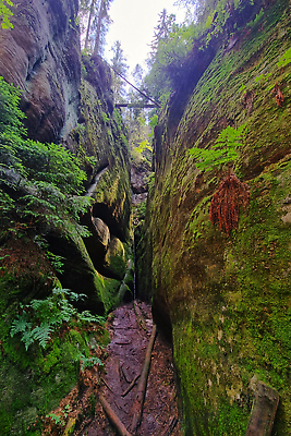 포토 JPG 해외이미지 나무 구름 유럽 호수 여행 백그라운드 자국 자연 하늘 휴가 휴식 산 건강 파노라마 풍경 사람없음 야외 초록색 물 여름 파란색 강 뷰티 환경 봄 하이킹 흐름 가을 숲 보석 엽서 장면 내추럴 잘츠부르크 전국 터키석 해외202310 해외포토 자연요소 식물 계절 나라 컬러 컨셉 레저 촬영기법 오스트리아 광석 편지 생태계 파일형식