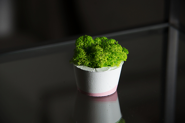 포토 JPG 해외이미지 라이프스타일 웰빙 디자인 분홍색 백그라운드 촛불 불 불꽃 휴식 주택 실내 통 건강 사랑 이끼 사람없음 내부 장식 초록색 빛 뷰티 검은색 흰색 고급 냄비 시멘트 연소 고립 바디케어 콘크리트 스타일 해외202310 해외포토 자연요소 감정 컬러 컨셉 초 건물 생활 솥 파일형식