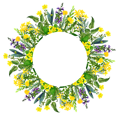 포토 JPG 해외이미지 식물 템플릿 디자인 배너 꽃 포스터 결혼 백그라운드 잎 꽃무늬 밭 일러스트 자연 프레임 미술 사람없음 장식 초록색 노란색 정원 봄 수확 흰색 인사 원형 신용카드 허브 그림 초대 내추럴 고립 세이지 엘리먼트 해외202310 해외일러스트 도형 계절 컬러 무늬 농업 문화예술 이벤트 금융 예절 생태계 파일형식