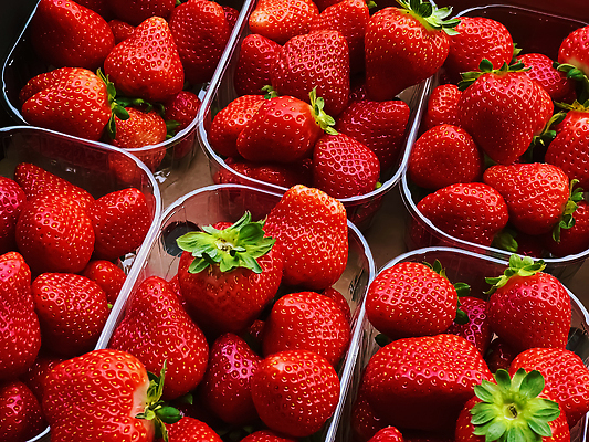 포토 JPG 해외이미지 과일 포장 딸기 사람없음 빨간색 무더기 플라스틱통 해외202310 해외포토 컬러 통 플라스틱 파일형식