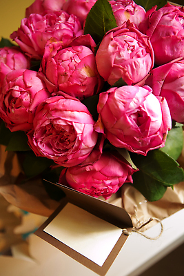 포토 JPG 해외이미지 식물 디자인 기념일 꽃잎 꽃 종이 분홍색 컬러 꽃다발 결혼 백그라운드 꽃무늬 자연 탁자 휴가 기념 발렌타인데이 선물 사랑 사람없음 장식 빨간색 초록색 뷰티 장미 문 쪽지 공백 낭만 벚꽃 흰색 축하 기록 신용카드 생일 메시지 편지 다발 용서 내추럴 미안 비어있는 해외202310 해외포토 감정 가구 컨셉 무늬 데이이벤트 이벤트 금융 사죄 생태계 파일형식