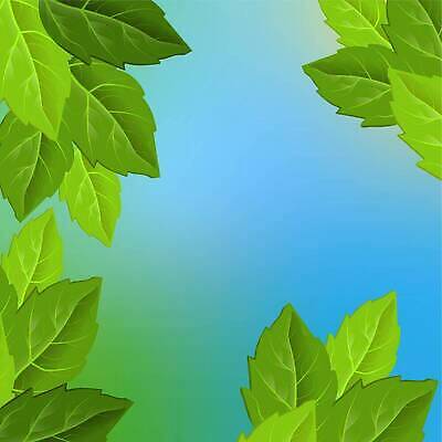 EPS 해외이미지 나무 식물 템플릿 디자인 배너 컬러 백그라운드 잎 꽃무늬 패턴 곡선 일러스트 자연 벽지 추상 경사 목재 그래픽 장식 초록색 여름 파란색 빛 컬러풀 디지털 정원 봄 공백 흰색 나뭇가지 숲 질감 내추럴 고립 엘리먼트 이국적 스타일 벡터 효과 해외202310 해외일러스트 계절 꽃 선 무늬 재료 생태계 파일형식