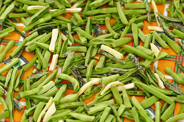 포토 JPG 해외이미지 식물 음식 백그라운드 농업 다이어트 자연 콩 건조 건강 사람없음 초록색 수확 유기농 내추럴 밭일 숙성 해외202310 해외포토 웰빙 산업 컬러 곡류 생태계 파일형식