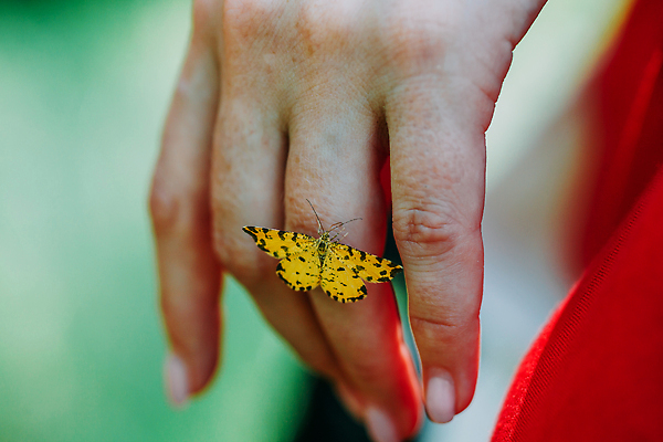 포토 JPG 해외이미지 전통 여자 남자 종교 문화 나비 백그라운드 자연 불 두명 목재 뷰티 어둠 바위 의식 역사 동굴 야간 심볼 사인 신성 마법 원시시대 숭배 해외202310 해외포토 자연요소 나무 곤충 재료 사람 돌_바위 생태계 파일형식