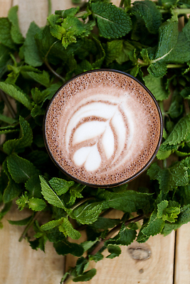 포토 JPG 해외이미지 커피 음료 음식 크리스마스 패턴 탁자 디저트 따뜻함 서기 사람없음 목재 컵 초록색 갈색 초콜릿 숟가락 어둠 거품 카페 우유 수확 흰색 나뭇가지 신선 뜨거움 액체 달콤 맛 아침식사 민트 유기농 향기 아로마 영양 칼로리 코코아 내추럴 따뜻한음료 모카 순간 카카오 카페인 맛있는 해외202310 해외포토 나무 식기 웰빙 기념일 컬러 가구 컨셉 무늬 농업 재료 모션 유제품 수저 상점 식사 허브 냄새 파일형식