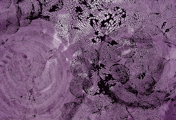 포토 JPG 해외이미지 디자인 벽 컬러 백그라운드 벽지 표면 추상 잉크 미술 사람없음 장식 우주 보라색 어둠 페인트 수확 골동품 얼룩 거친 액체 신비 자주색 질감 캔버스 구성 그런지 아크릴 해외202310 해외포토 컨셉 무늬 농업 재질 문화예술 파일형식