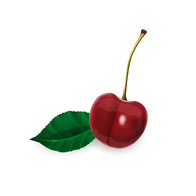 포토 JPG 해외이미지 잎 사람없음 체리 그림 해외202310 해외포토 식물 과일 파일형식