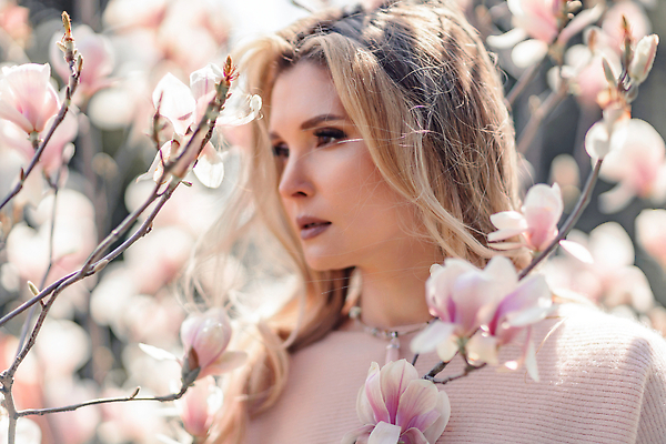 포토 JPG 해외이미지 여자 한명 상반신 성인 야외 옆모습 뷰티 봄 목련 목련나무 성인여자한명만 해외202310 해외포토 나무 1 계절 꽃 뷰포인트 사람 여자한명만 성인여자만 파일형식