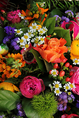 포토 JPG 해외이미지 식물 열매 꽃잎 꽃 분홍색 컬러 꽃다발 컨셉 오렌지 자연 사람없음 빨간색 초록색 태양 장미 노란색 보라색 봄 흰색 배열 묘사 섞기 아네모네 작약 해외202310 해외포토 자연요소 계절 과일 생태계 파일형식