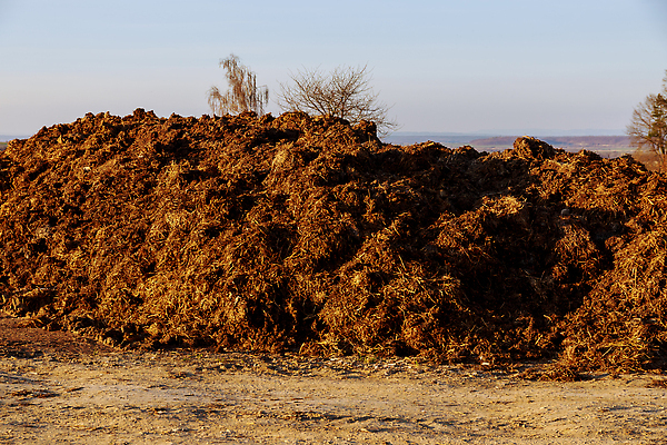 포토 JPG 해외이미지 식물 지구 컨셉 밭 농업 자연 사람없음 야외 옆모습 농장 갈색 쌓기 우주 환경 정원 농사 검은색 어둠 흙 시골 땅 유기농 냄새 먼지 흙더미 불쾌함 거름 땅바닥 밭일 생태학 엘리먼트 해외202310 해외포토 웰빙 교육 감정 산업 뷰포인트 컬러 모션 바닥 생태계 파일형식 더미