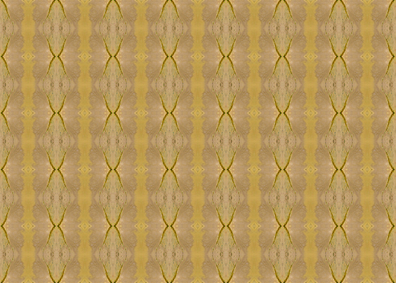 포토 JPG 해외이미지 모양 전통 디자인 종이 백그라운드 쿠션 패턴 일러스트 베개 침구 벽지 표면 추상 사람없음 그래픽 장식 갈색 유행 견본 직물 커튼 그리기 바느질 천 질감 부드러움 기하학 대칭 퀼트 파스텔톤 포장소품 반복 해외202310 해외일러스트 컬러 무늬 포장 모션 감각 오브젝트 포장재료 파일형식