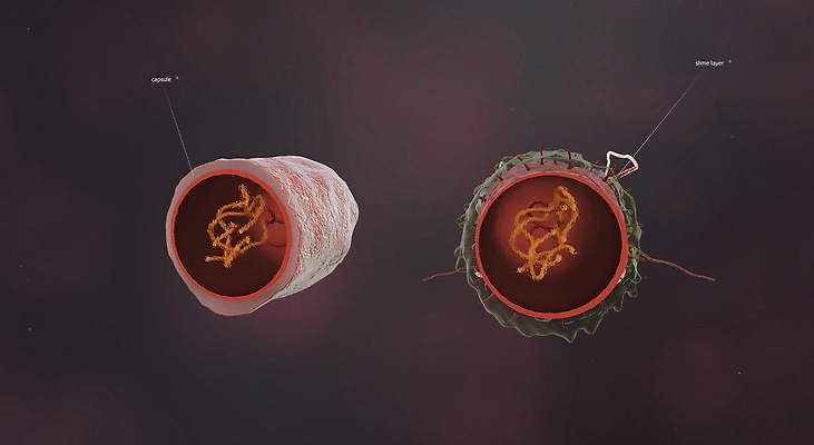 포토 JPG 해외이미지 세포 나선형 사람없음 약 열 원형 막대기 질병 생물학 감염 미생물 박테리아 기생충 여의주 염증 코스모폴리탄 해외202310 해외포토 도형 교육 무늬 의학 생물 칵테일 바이러스 파일형식