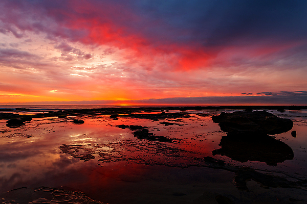 포토 JPG 해외이미지 구름 바다 백그라운드 오렌지 조류 하늘 풍경 사람없음 야외 빨간색 물 파란색 햇빛 반사 일출 보라색 활발 거울 호주 암초 강렬 해외202310 해외포토 자연요소 동물 컬러 컨셉 과일 태양 노을 오세아니아 파일형식