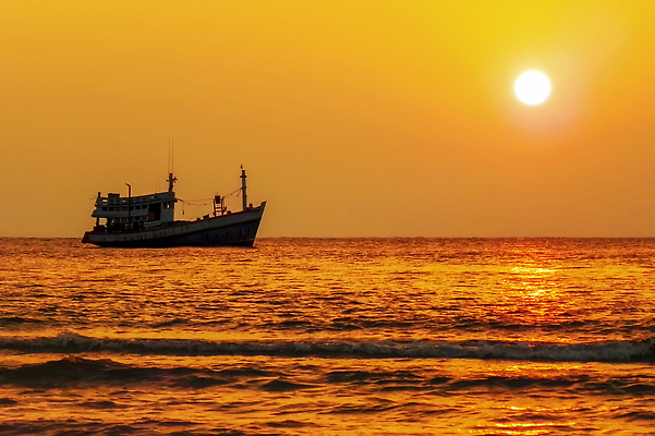 포토 JPG 해외이미지 실루엣 산업 바다 여행 요트 오렌지 비즈니스 교통시설 자연 하늘 휴가 항해 사람없음 물 태양 반사 일출 항구 황혼 일몰 에너지 화물 보트 황금 저녁 컨테이너 함선 포트 내추럴 유조선 철강 수평선 해외202310 해외포토 자연요소 교통 배_교통 과일 촬영기법 노을 운송업 야간 시설 생태계 파일형식