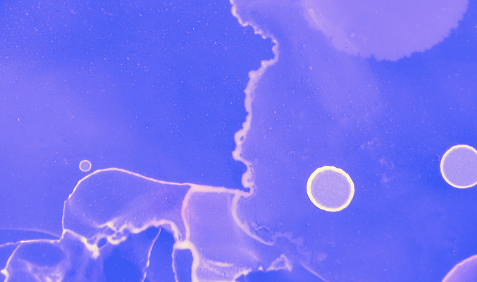 포토 JPG 해외이미지 템플릿 손 디자인 배너 포스터 종이 벽 파도 분홍색 컬러 백그라운드 패턴 일러스트 모션 벽지 추상 미래 잉크 미술 경사 사람없음 그래픽 물 파란색 디지털 보라색 페인트 젖음 흐름 붓 점 액체 떨어짐 실크 질감 역동적 네온 캔버스 대리석 부드러움 효과 유체 해외202310 해외일러스트 자연요소 바다 컨셉 무늬 재료 문화예술 신체부위 직물 감각 파일형식