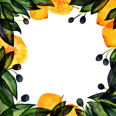 포토 JPG 해외이미지 식물 음식 백그라운드 잎 패턴 농업 과일 자연 주택 프레임 사람없음 초록색 노란색 건강관리 주방 정원 공백 카페 흰색 신선 신용카드 달콤 지중해 유기농 올리브 정사각형 이국적 채식주의자 비건 국경 해외202310 해외포토 도형 웰빙 열매 산업 바다 컬러 무늬 건강 관리 건물 금융 상점 맛 생태계 채식 파일형식