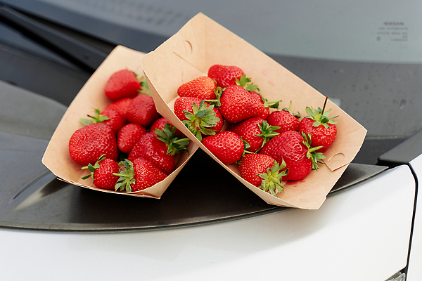 포토 JPG 해외이미지 과일 딸기 사람없음 배송 친환경 무더기 종이접시 해외202310 해외포토 접시 환경 파일형식