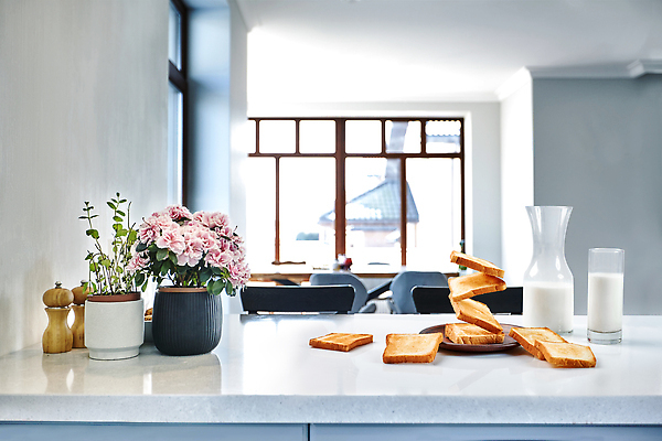 포토 JPG 해외이미지 식재료 창문 사람없음 꽃병 우유 아침식사 식빵 토스트 토스트기 해외202310 해외포토 꽃 빵 유제품 식사 가전제품 파일형식