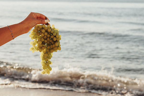 포토 JPG 해외이미지 손 음식 파도 바다 백그라운드 과일 포도 휴가 휴식 사람없음 초록색 여름 맑음 나뭇가지 물가 주말 카피스페이스 해외202310 해외포토 나무 계절 컬러 컨셉 날씨 풍경 신체부위 공백 파일형식