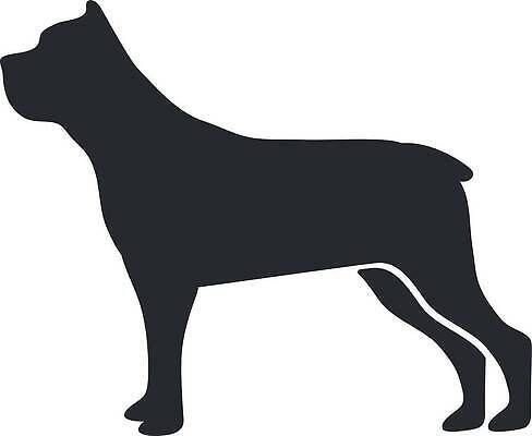 EPS 해외이미지 동물 1 행복 실루엣 백그라운드 일러스트 장난 포유류 자연 미술 서기 반려동물 뷰티 머리 검은색 우정 흰색 표현 9 개 강아지 보호 인쇄 테리어 혀 직원 만족 그림 황소 사냥 송곳니 고립 기르기 로마인 순혈 해외202310 해외일러스트 감정 컬러 컨셉 모션 문화예술 촬영기법 인종 신체부위 친구 숫자 입 소 치아 생태계 돌봄 파일형식 벡터