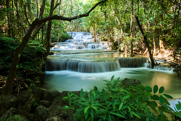 포토 JPG 해외이미지 나무 여행 백그라운드 태국 벽지 산 사람없음 야외 목재 그래픽 물 빛 평화 환경 계곡 봄 폭포 흐름 시골 신선 개울 열대우림 장노출 내추럴 해외202310 해외포토 자연요소 식물 계절 아시아 컨셉 재료 자연 촬영기법 강 숲 파일형식