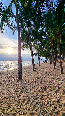 포토 JPG 해외이미지 모래 바다 컬러 섬 여행 백그라운드 무지개 우산 파타야 태국 자연 하늘 휴가 휴식 손바닥 사람 풍경 사람없음 야외 초록색 물 여름 파란색 태양 뷰티 수영 일몰 도시 만 서핑 양산 동성애자 이국적 해외202310 해외포토 자연요소 손 계절 아시아 컨셉 노을 수상스포츠 생태계 파일형식 성소수자