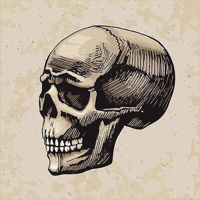 EPS 해외이미지 모양 디자인 얼굴 선 일러스트 날씨 잉크 흑백 경고 할로윈 수확 입 치아 무서움 스케치 문신 사인 손그림 해적 판화 고딕 스타일 해외202310 해외일러스트 감정 농업 촬영기법 미술 신체부위 소화기관 도둑 파일형식 벡터