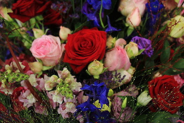 포토 JPG 해외이미지 꽃 분홍색 결혼 꽃무늬 오렌지 사람없음 장식 파란색 컬러풀 장미 노란색 배열 섞기 해외202310 해외포토 식물 컬러 무늬 과일 이벤트 파일형식