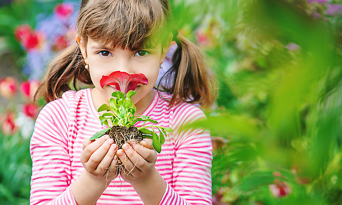 포토 JPG 해외이미지 여자 꽃 어린이 한명 들기 상반신 앞모습 정원 성장 원예 향기 소녀한명만 해외202310 해외포토 식물 1 뷰포인트 모션 사람 취미 냄새 여자한명만 소녀만 파일형식