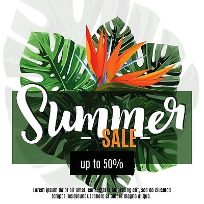 EPS 해외이미지 나무 식물 템플릿 배너 계절 포스터 여행 백그라운드 잎 일러스트 자연 벽지 휴가 손바닥 선물 장식 초록색 여름 파티 유행 라벨 세일 정원 검은색 어둠 봄 신용카드 인쇄 그림 질감 하와이 초대 브라질 다육식물 마이애미 이국적 인기 파라다이스 벡터 해외202310 해외일러스트 손 컬러 프레임 이벤트 금융 미국 남아메리카 생태계 파일형식