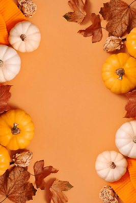 포토 JPG 해외이미지 식물 음식 백그라운드 채소 오렌지 호박 추상 휴가 건강 사람없음 야외 장식 세로 컬러풀 노란색 할로윈 수확 흰색 신선 잡기 작음 9월 11월 스웨터 날것 추수감사절 10월 숙성 테마 플랫레이 카피스페이스 비건 해외202310 해외포토 기독교 컬러 상의 무늬 농업 과일 모션 공백 날짜 플랫 크기 채식주의자 파일형식