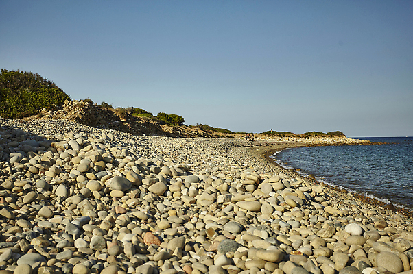 포토 JPG 해외이미지 나무 모래 파도 바다 여행 백그라운드 자연 하늘 휴가 휴식 풍경 사람없음 야외 초록색 물 여름 파란색 햇빛 태양 뷰티 평화 환경 맑음 침묵 흰색 고독 싱글 장면 수평선 비어있는 해외202310 해외포토 자연요소 식물 계절 감정 컬러 컨셉 날씨 소리 생태계 파일형식