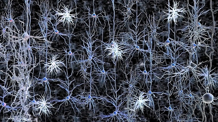 포토 JPG 해외이미지 감정 과학 백그라운드 이동 신체 해부 생물 세포 건강 사람 사람없음 빛 약 에너지 마음 네트워크 감각 맥박 불안 뇌 생물학 신호 만들기 전자 전염 시스템 전송 해외202310 해외포토 교육 컨셉 의학 모션 질병 감염 파일형식