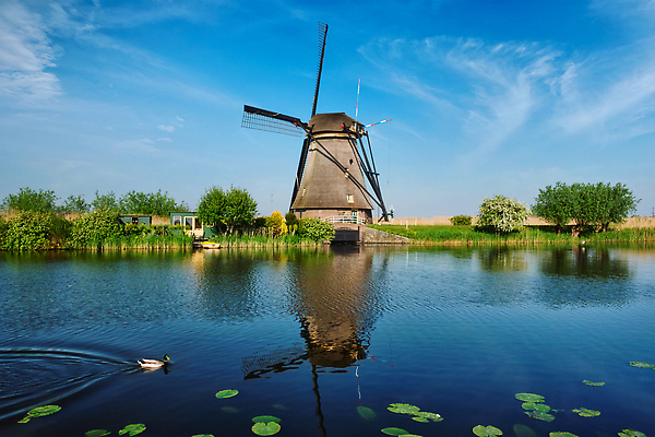 포토 JPG 해외이미지 전통 유럽 여행 하늘 풍경 사람없음 물 관광지 강 농장 여행객 풍차 수확 시골 역사 네덜란드 복고 방앗간 구식 해외202310 해외포토 자연요소 나라 농업 사람 파일형식