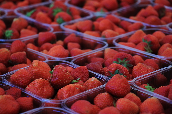 포토 JPG 해외이미지 열매 과일 딸기 사람없음 목재 빨간색 상자 세일 상점 신선 시장 상품 나무상자 유기농 지역 소매 판지 매각 해외202310 해외포토 나무 식물 웰빙 컬러 재료 파일형식