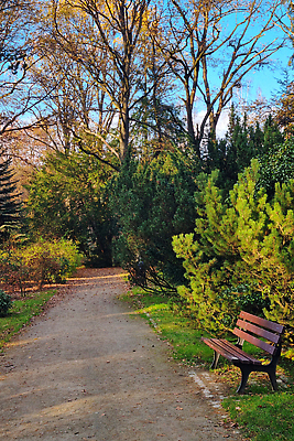 포토 JPG 해외이미지 나무 식물 라이프스타일 디자인 계절 공원 실루엣 백그라운드 잎 벤치 의자 일러스트 자연 휴식 거리 주택 풍경 사람없음 야외 목재 그래픽 초록색 여름 세트 햇빛 뷰티 갈색 평화 정원 맑음 침묵 황혼 봄 가을 도시 안락 비어있는 해외202310 해외포토 공공시설 컬러 가구 컨셉 재료 날씨 촬영기법 건물 생활 태양 소리 일몰 생태계 파일형식