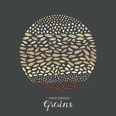 EPS 해외이미지 모양 식물 손 디자인 계절 음식 줄기 백그라운드 잎 농업 일러스트 자연 밥 씨앗 여름 농작물 농장 식사 수확 흰색 시골 원형 낙서 낟알 스케치 시리얼 밀 심볼 그림 유기농 보리 패키지 고립 수수 옛날 퀴노아 호밀 벡터 귀리 해외202310 해외일러스트 도형 웰빙 산업 컬러 곡류 미술 신체부위 생태계 파일형식