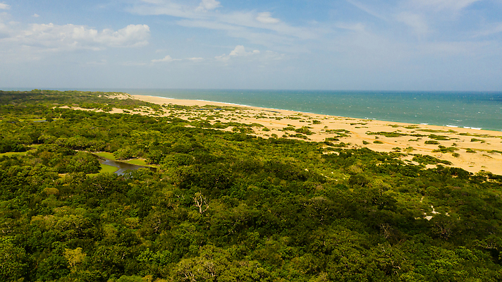 포토 JPG 해외이미지 나무 식물 공원 아시아 호수 파도 바다 여행 잎 자연 산 사람없음 야외 목재 초록색 환경 안개 보호 숲 열대우림 언덕 상록수 내추럴 항공촬영 사바나 스리랑카 조감도 해외202310 해외포토 공공시설 나라 뷰포인트 컬러 컨셉 재료 날씨 생태계 파일형식