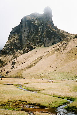 포토 JPG 해외이미지 동물 야생동물 밭 산 아이슬란드 풍경 사람없음 야외 강 농장 농경지 계곡 가축 시골 군중 작음 방목 북쪽 동물상 해외202310 해외포토 유럽 농업 사람 조형물 축산업 크기 방향 파일형식