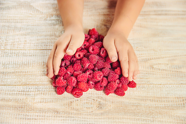 포토 JPG 해외이미지 손 배너 열매 어린이 음식 백그라운드 다이어트 과일 재료 자연 탁자 건강 관리 사랑 한명 목재 빨간색 여름 농작물 뷰티 농장 정원 아기 신선 달콤 맛 유기농 질감 날것 산딸기 돔 내추럴 숙성 채식주의자 많음 카피스페이스 맛있는 해외202310 해외포토 나무 식물 1 건축물 웰빙 계절 감정 컬러 가구 컨셉 농업 사람 신체부위 공백 생태계 채식 파일형식