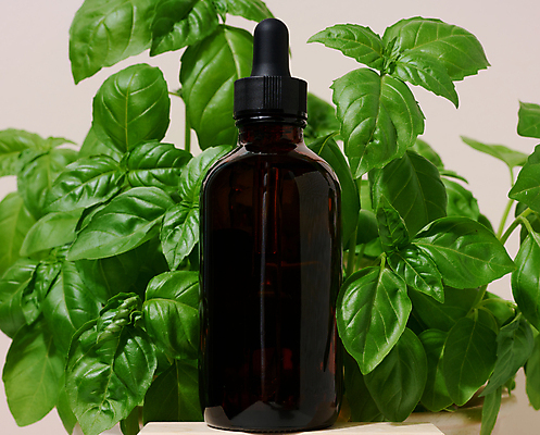 포토 JPG 해외이미지 잎 사람없음 뷰티 화려 허브 피부관리 아로마테라피 공병 에센스 해외202310 해외포토 식물 컨셉 화장품 테라피 병_담는 파일형식